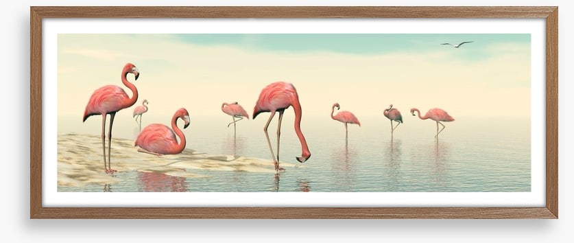 Pink flamingo flock