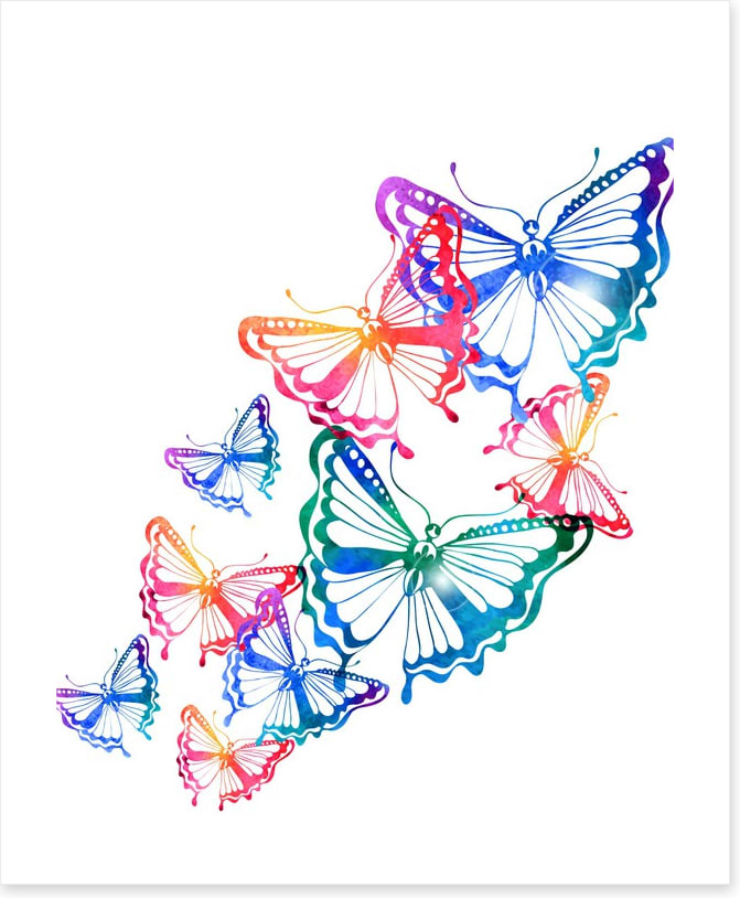 Butterflies