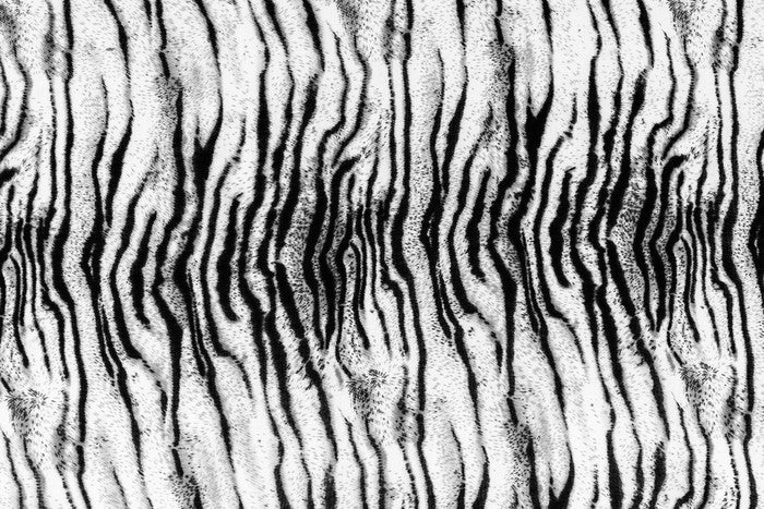 Animal Print