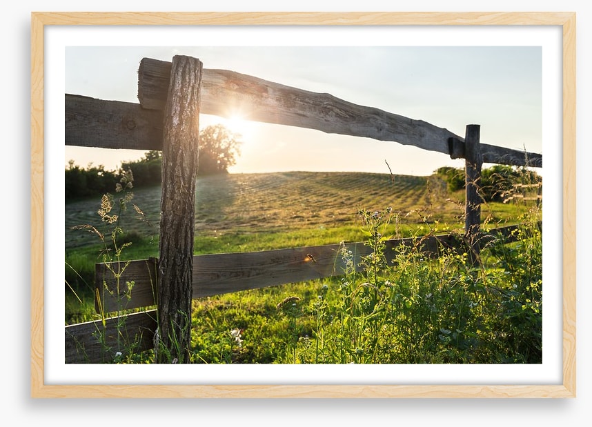 Through the fence