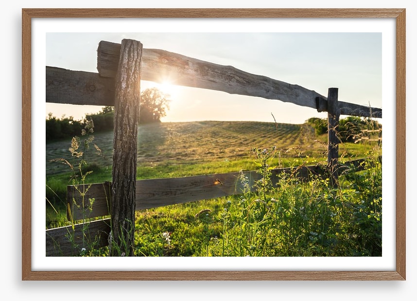 Through the fence