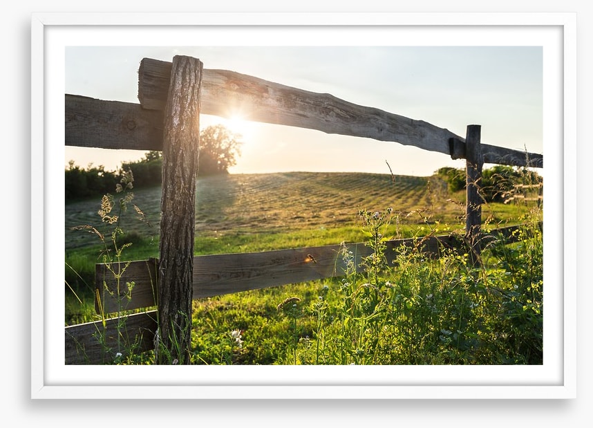 Through the fence