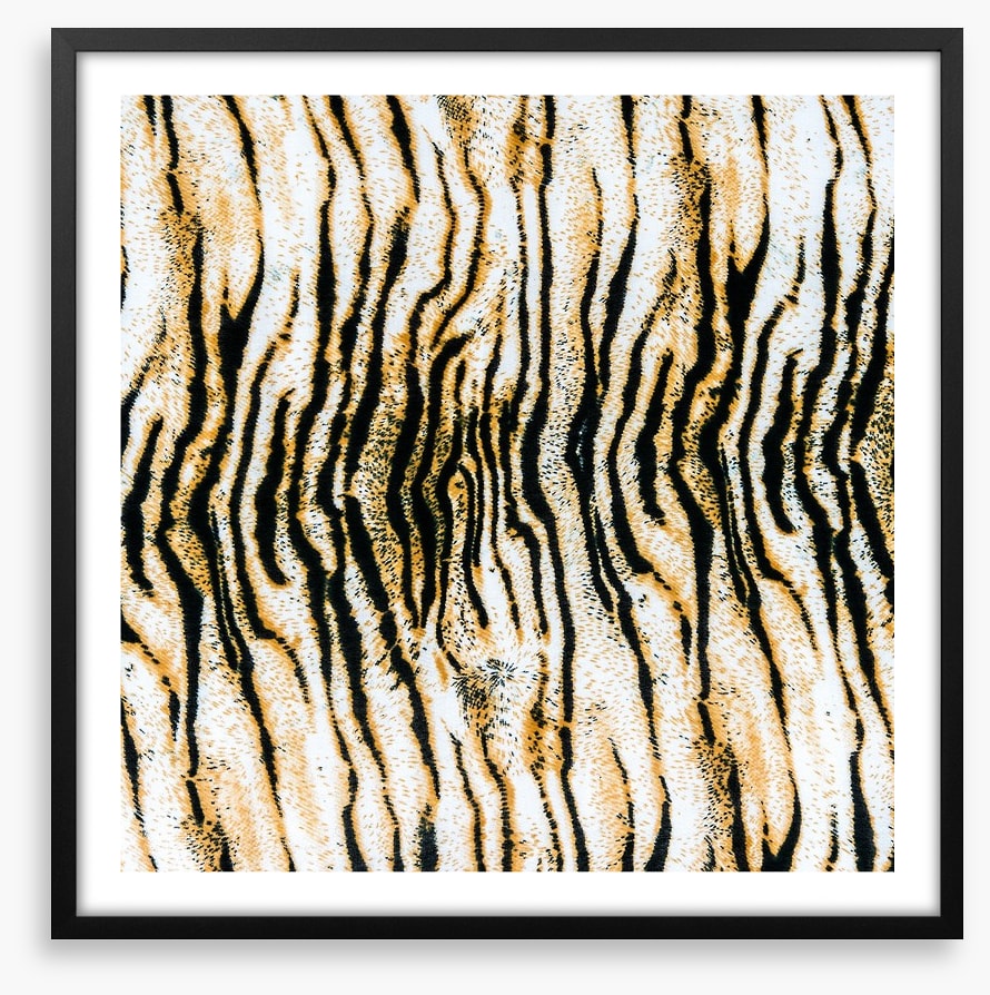 Animal Print