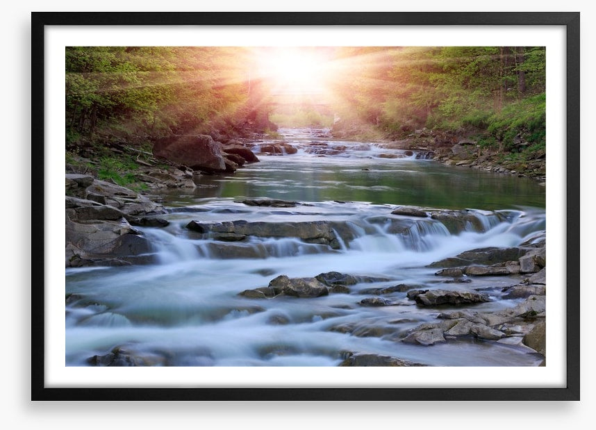 River rays