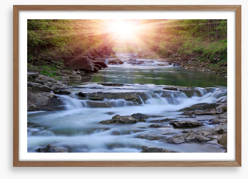 River rays