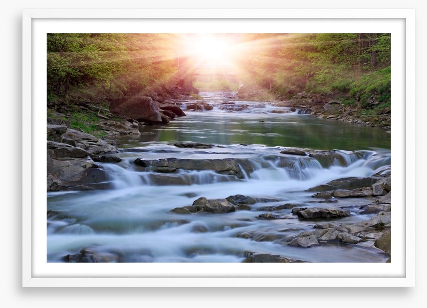 River rays