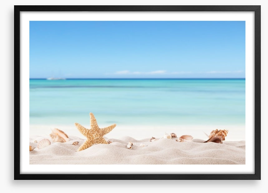 Summer beach with shells