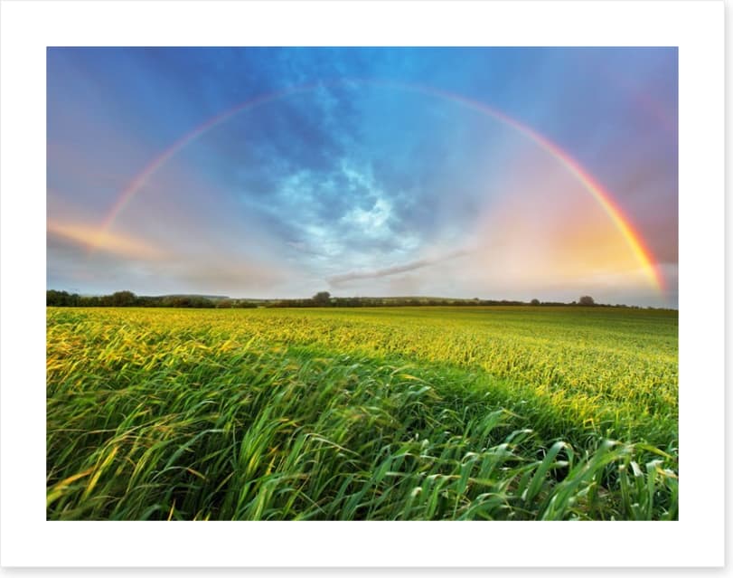Rainbows