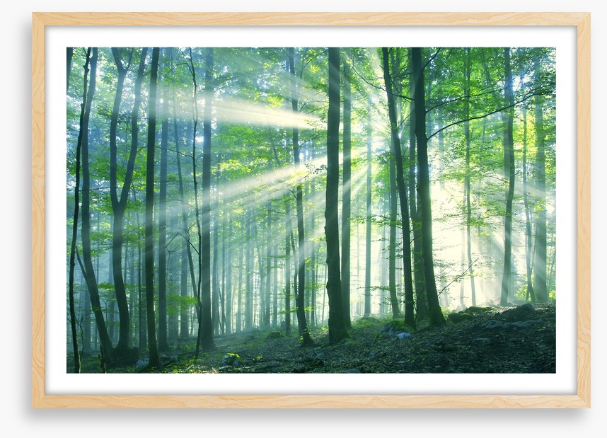 Green leaf light
