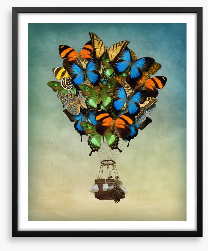 Butterfly balloon