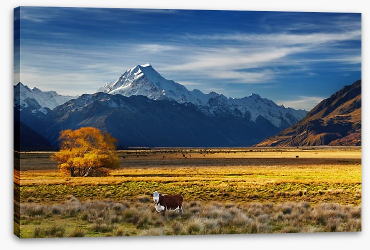 Under the shadow of Mount Cook
