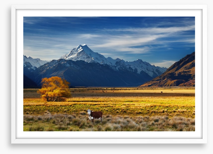 Under the shadow of Mount Cook