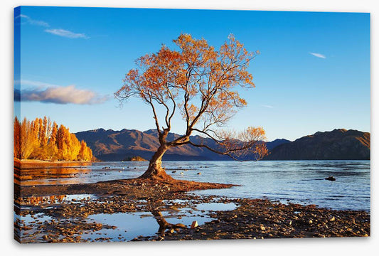 Autumn in Wanaka