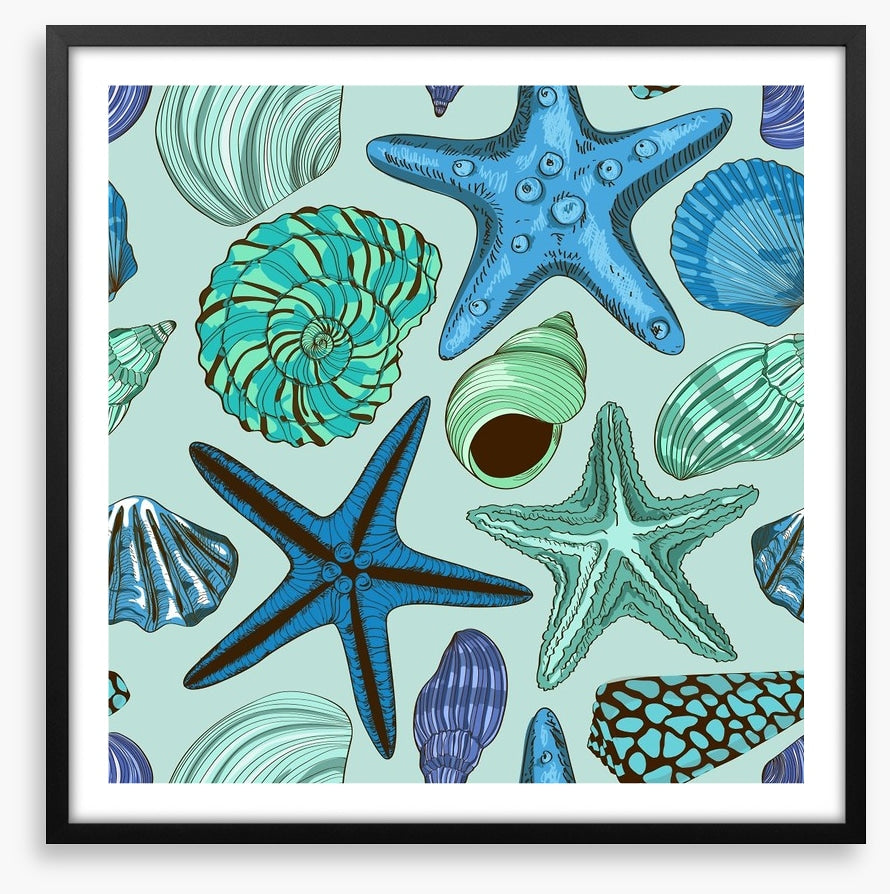Seashells and starfish