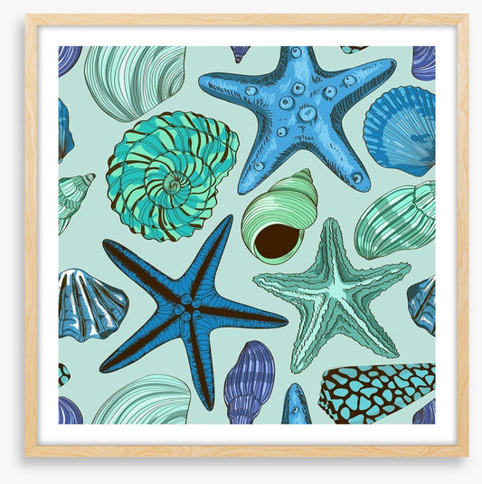 Seashells and starfish