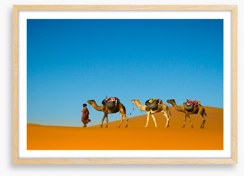 Camel caravan