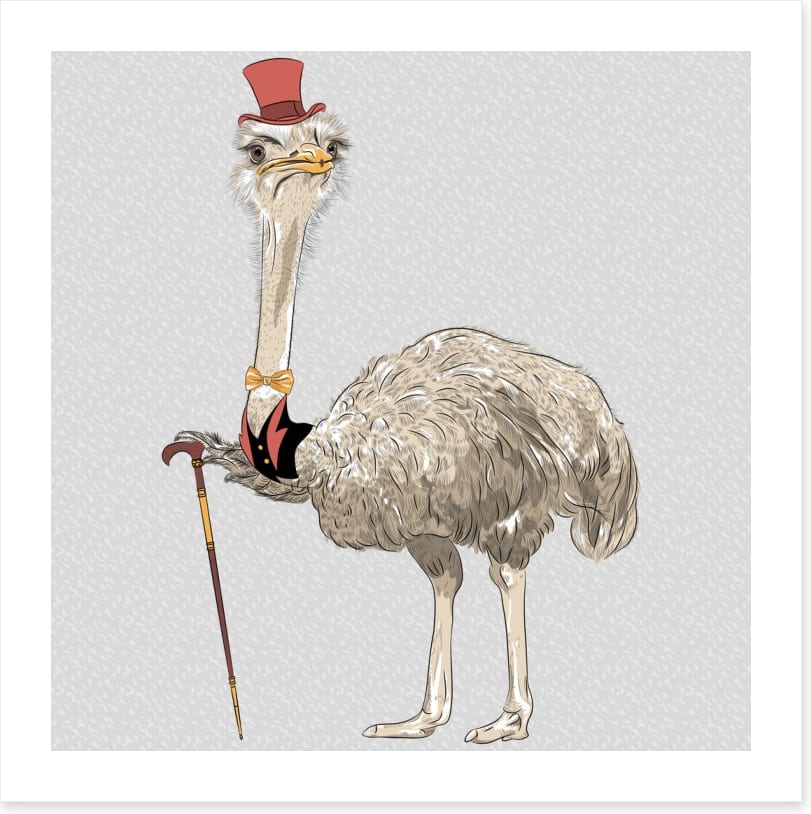 The old ostrich