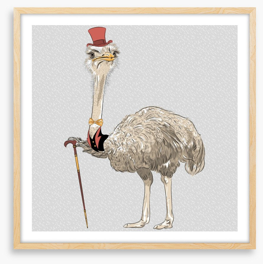 The old ostrich