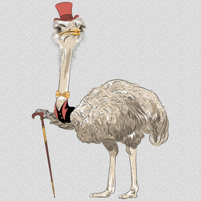 The old ostrich