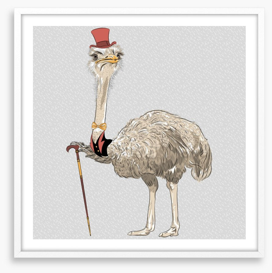 The old ostrich