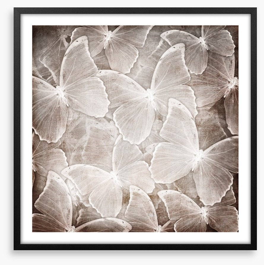 Butterfly chic