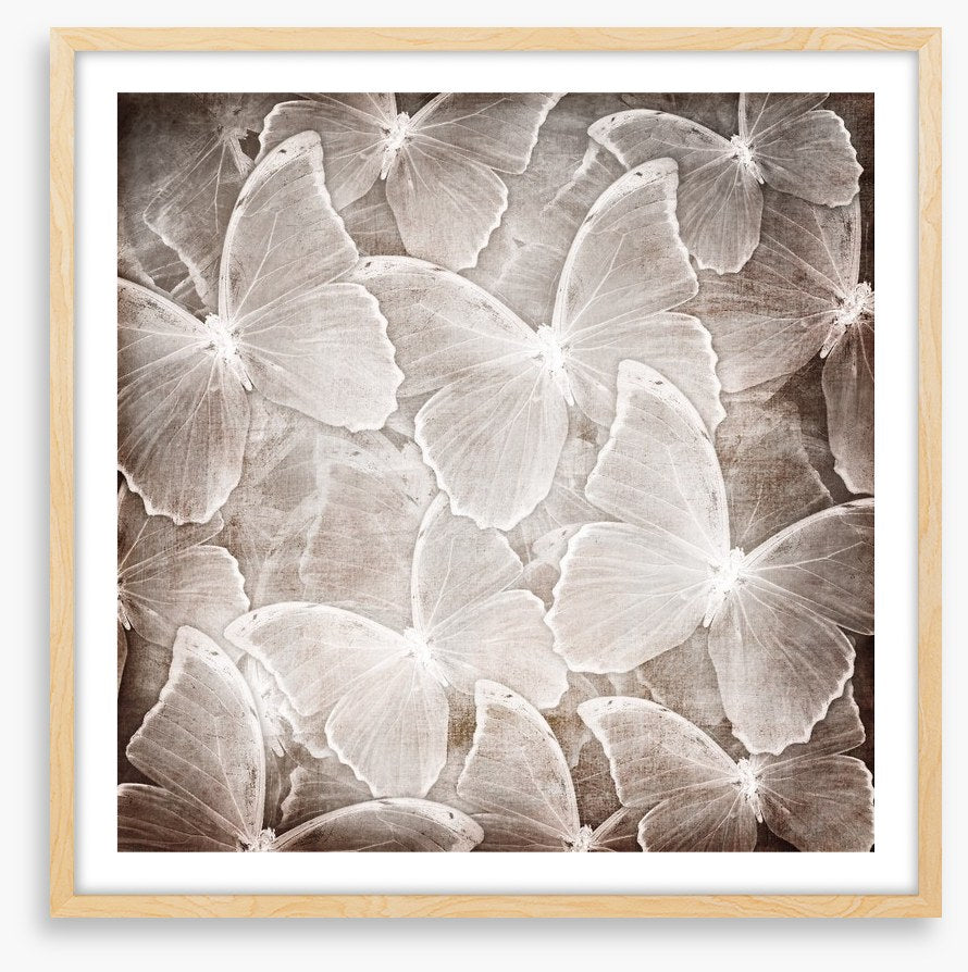 Butterfly chic