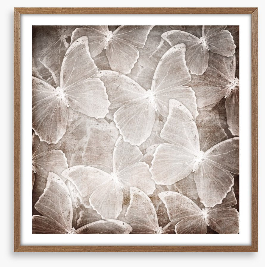Butterfly chic