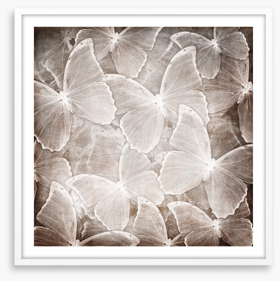 Butterfly chic