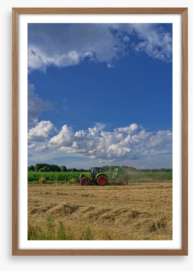 Agriculture