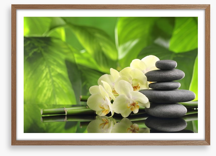 Green spa zen