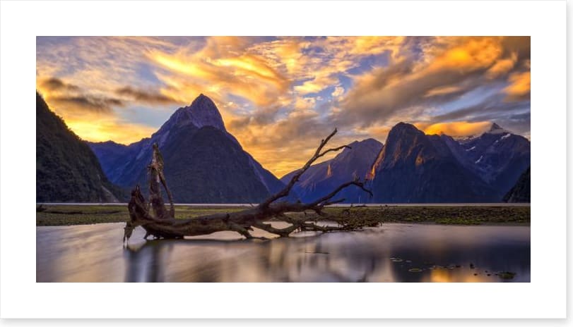 Milford Sound sunset