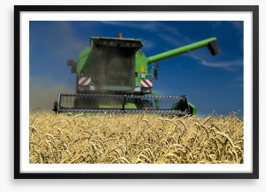 Agriculture