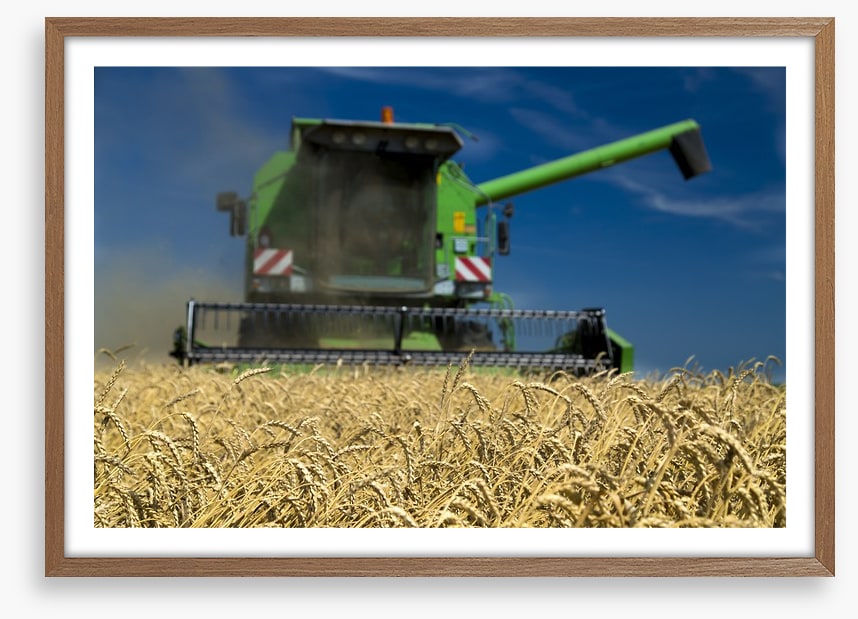 Agriculture