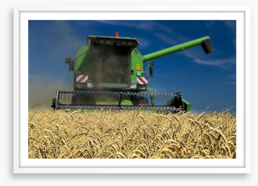 Agriculture