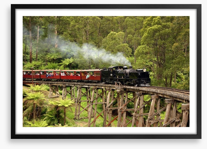 Puffing Billy steam train