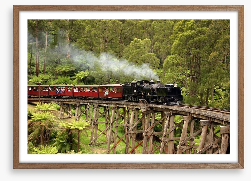 Puffing Billy steam train