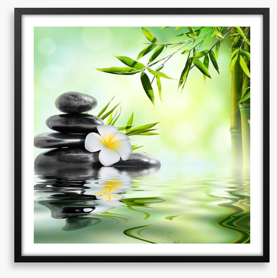 Frangipani and bamboo