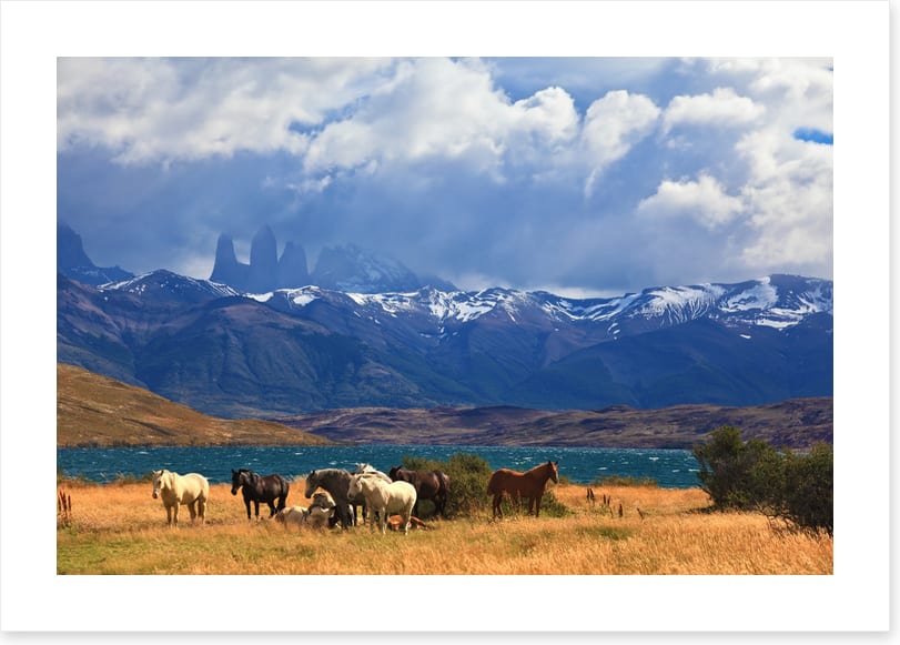 South America