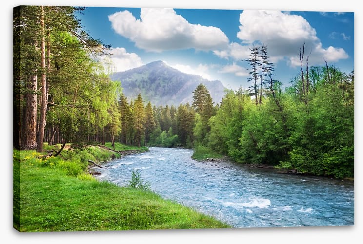 Green forest flow
