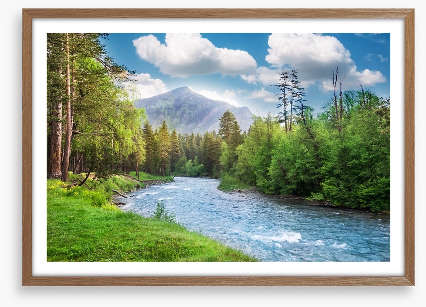 Green forest flow