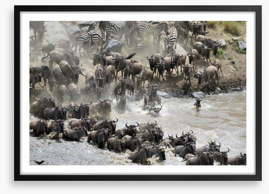 Africa
