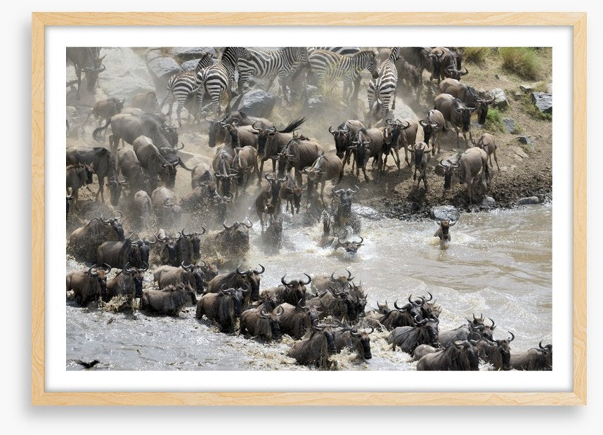 Africa