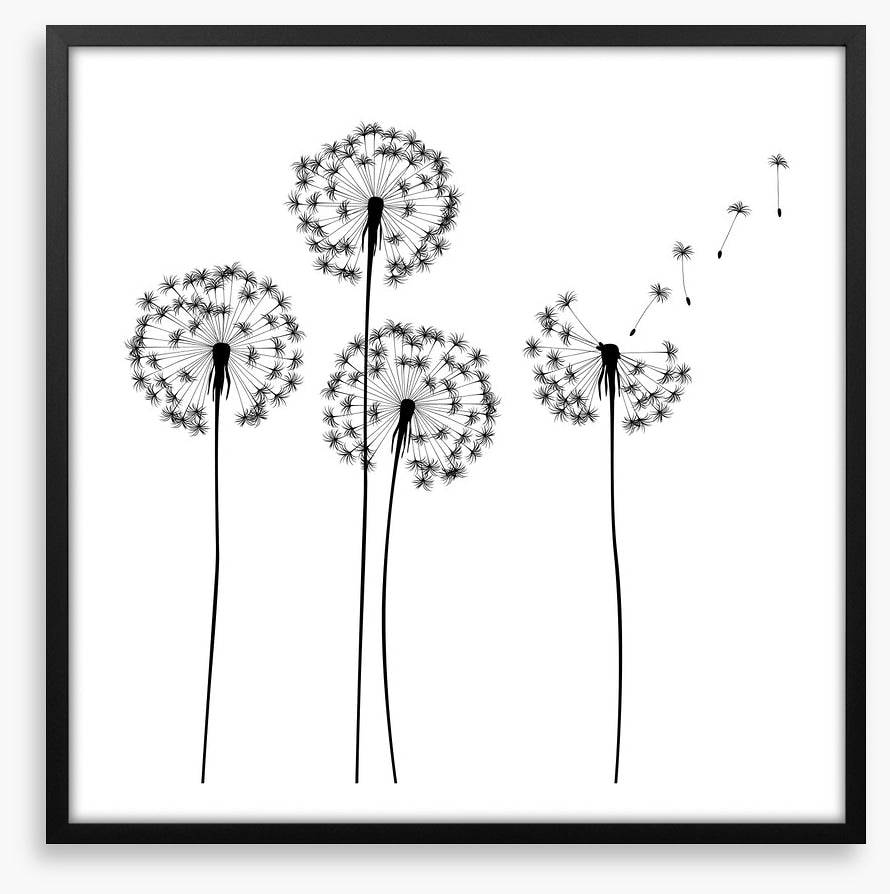 Make a wish