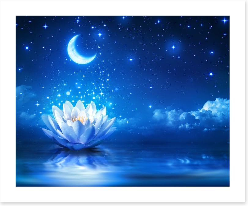 Waterlily moon dust