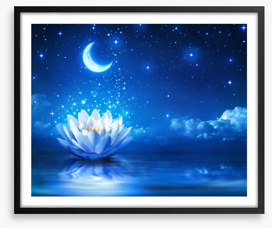 Waterlily moon dust