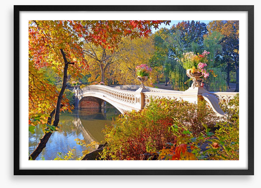 Bow Bridge beauty