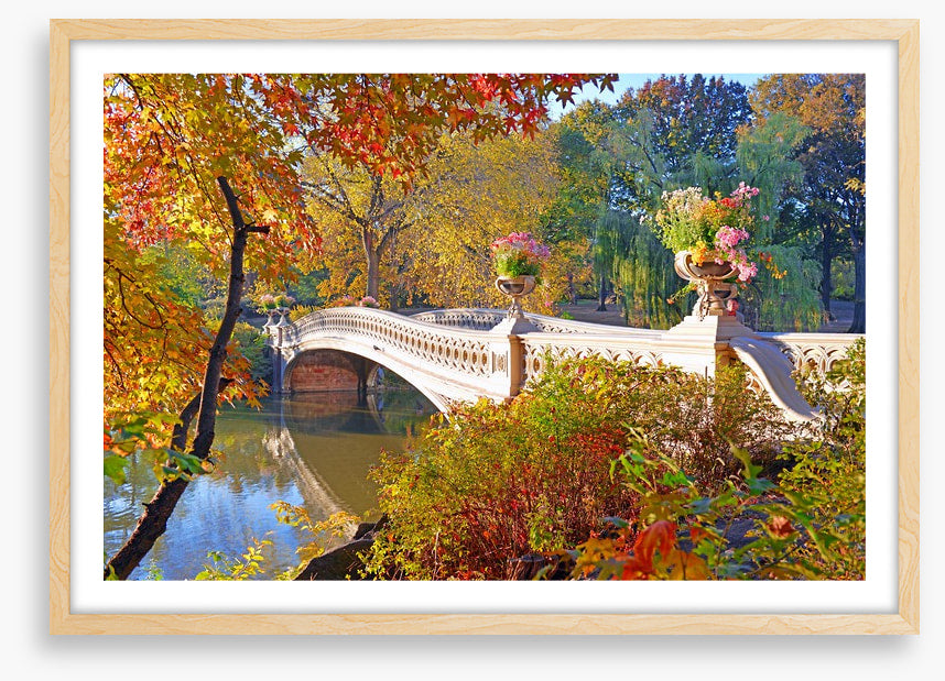 Bow Bridge beauty