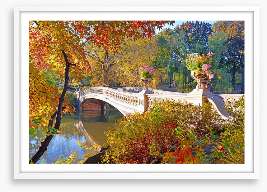 Bow Bridge beauty