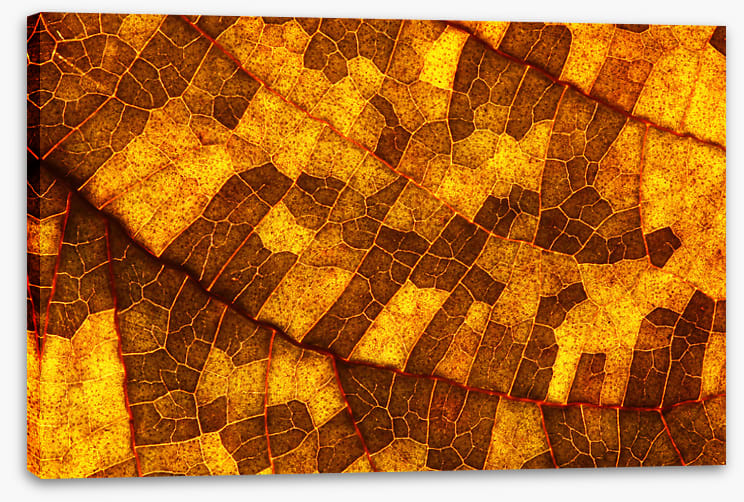 Skeleton leaf gold
