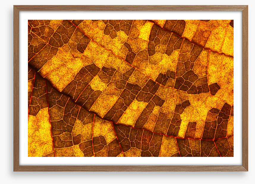 Skeleton leaf gold